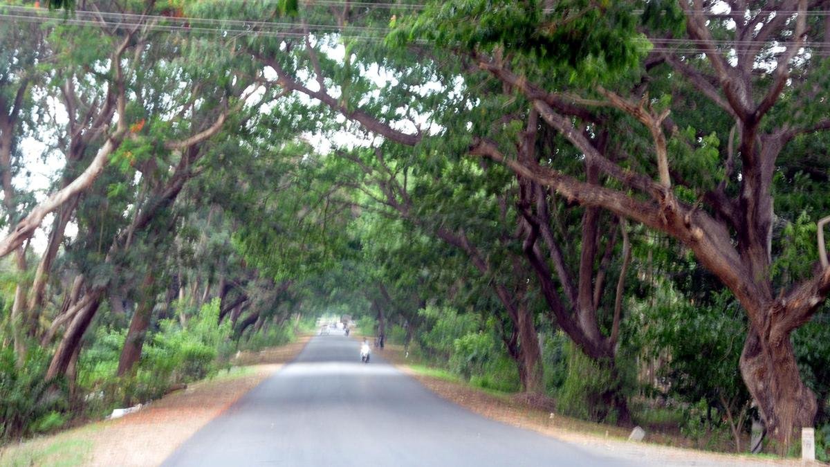 ಶಿವಮೊಗ್ಗ-ತುಮಕೂರು ಚತುಷ್ಪಥ ಹೆದ್ದಾರಿ: 2027ರ ಮಾರ್ಚ್ಗೆ ಪೂರ್ಣ | ನಿತಿನ್ ಗಡ್ಕರಿ